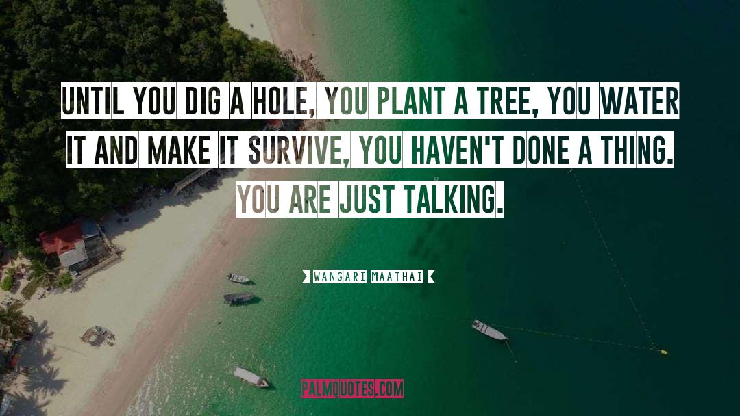 Wangari Maathai Quotes: Until you dig a hole,