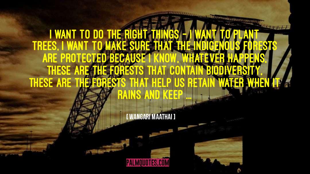 Wangari Maathai Quotes: I want to do the