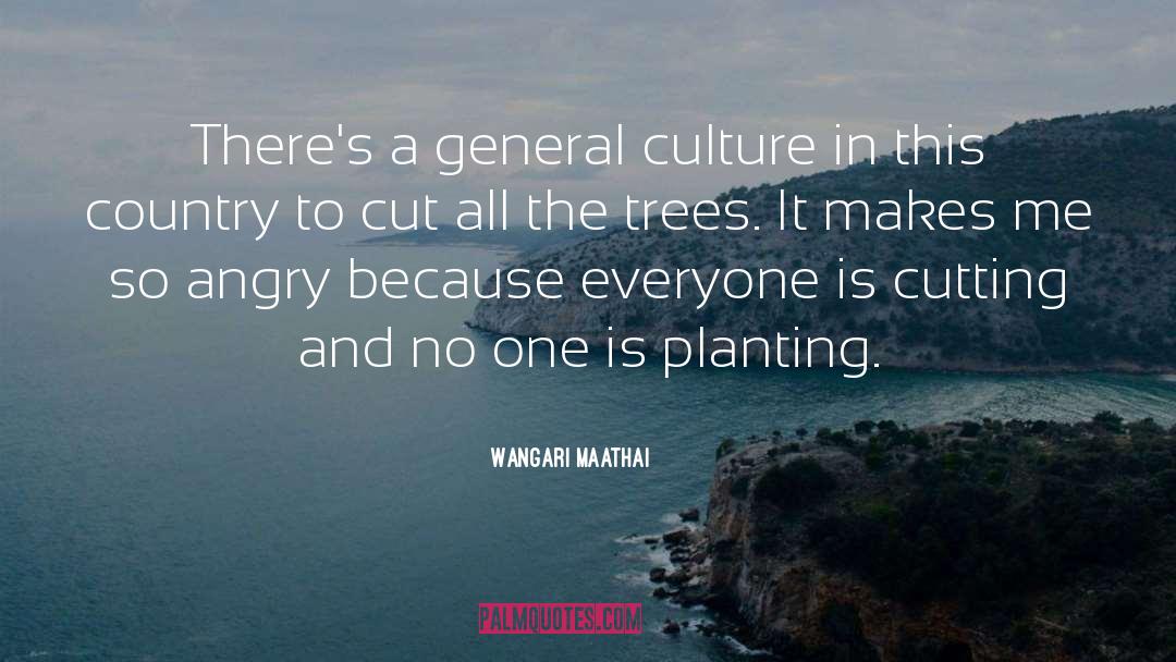 Wangari Maathai Quotes: There's a general culture in