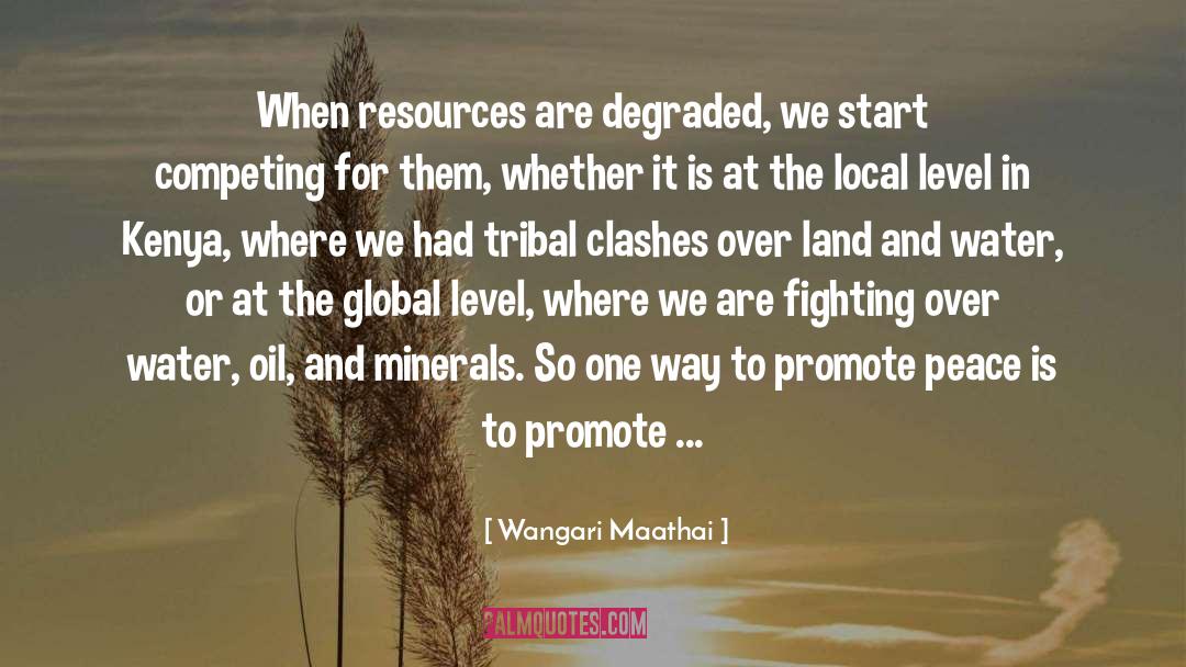Wangari Maathai Quotes: When resources are degraded, we