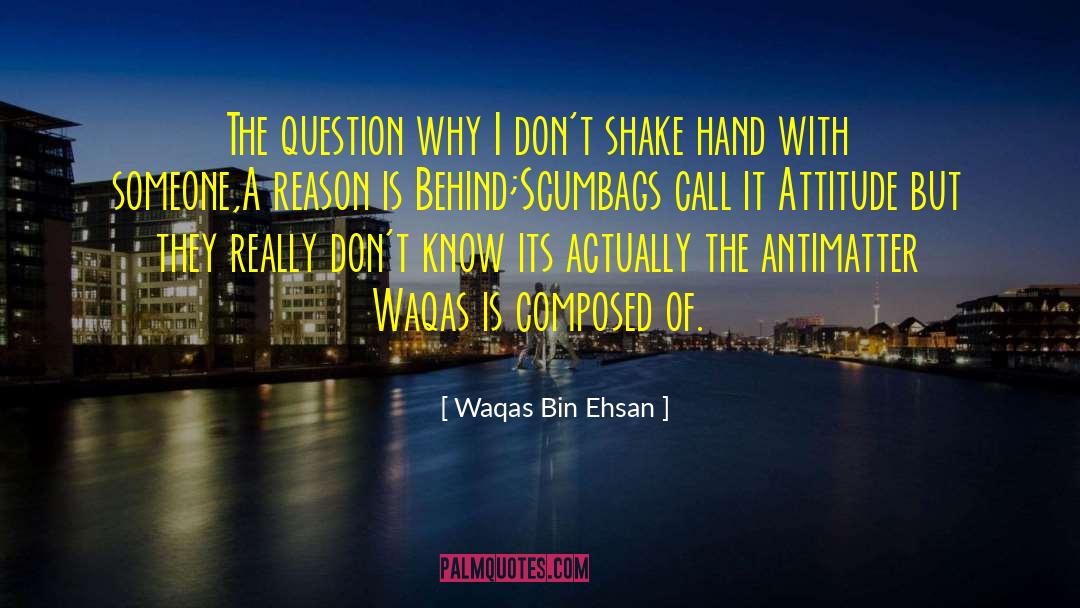 Waqas Bin Ehsan Quotes: The question why I don't