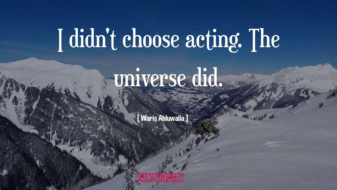 Waris Ahluwalia Quotes: I didn't choose acting. The