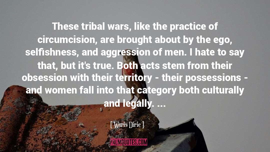 Waris Dirie Quotes: These tribal wars, like the