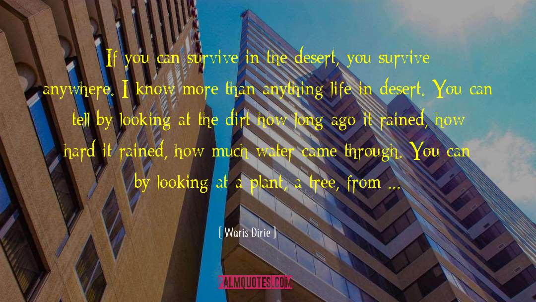 Waris Dirie Quotes: If you can survive in