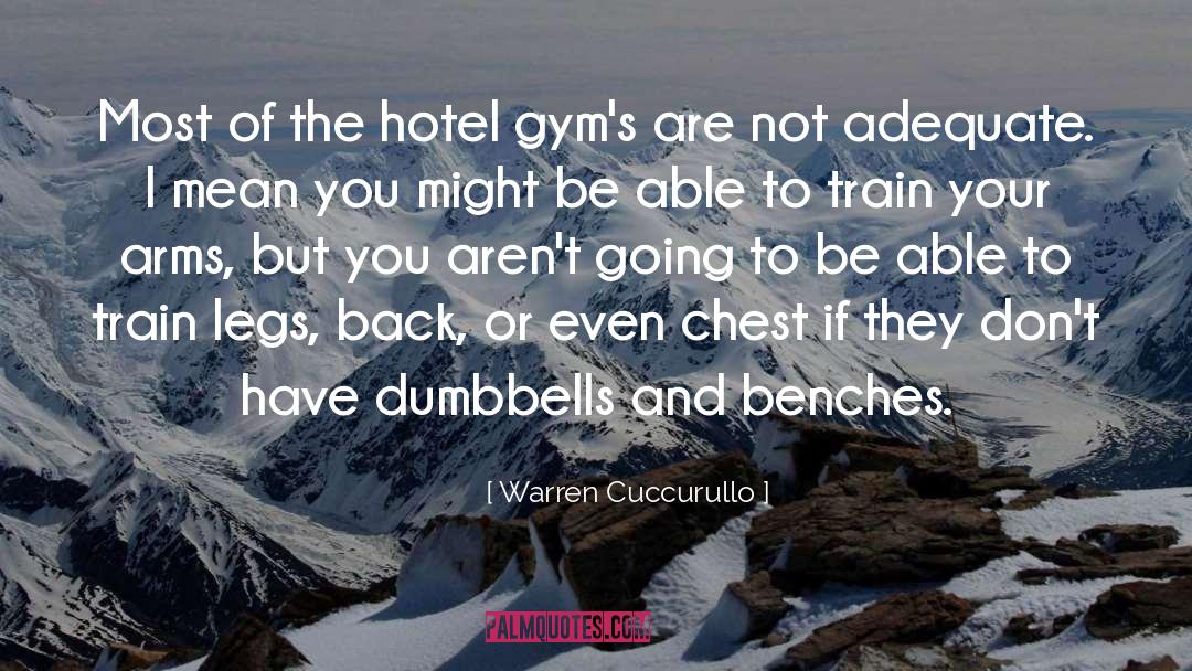 Warren Cuccurullo Quotes: Most of the hotel gym's