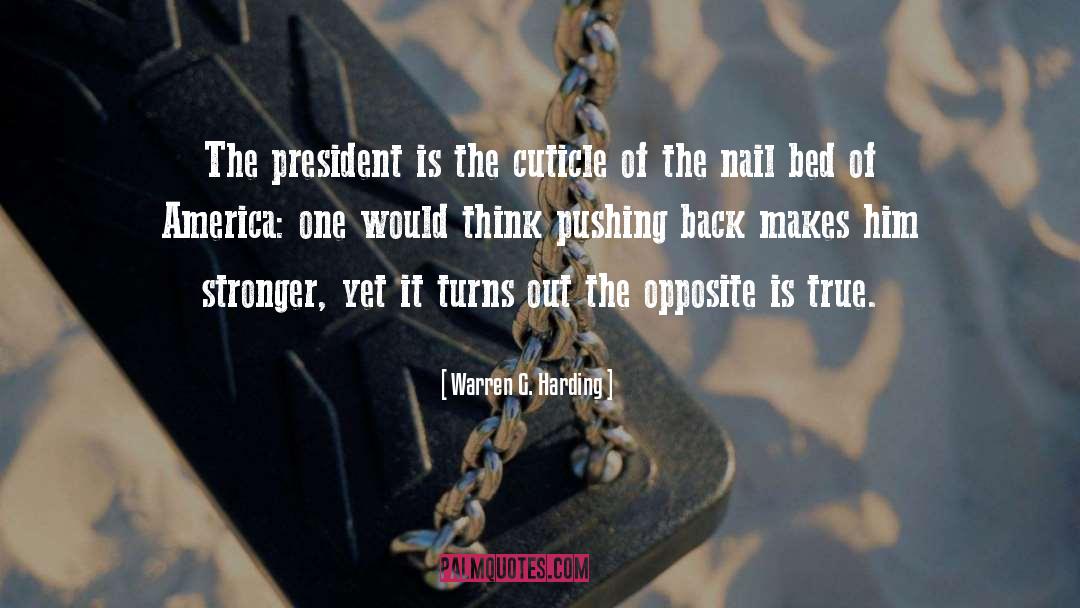 Warren G. Harding Quotes: The president is the cuticle