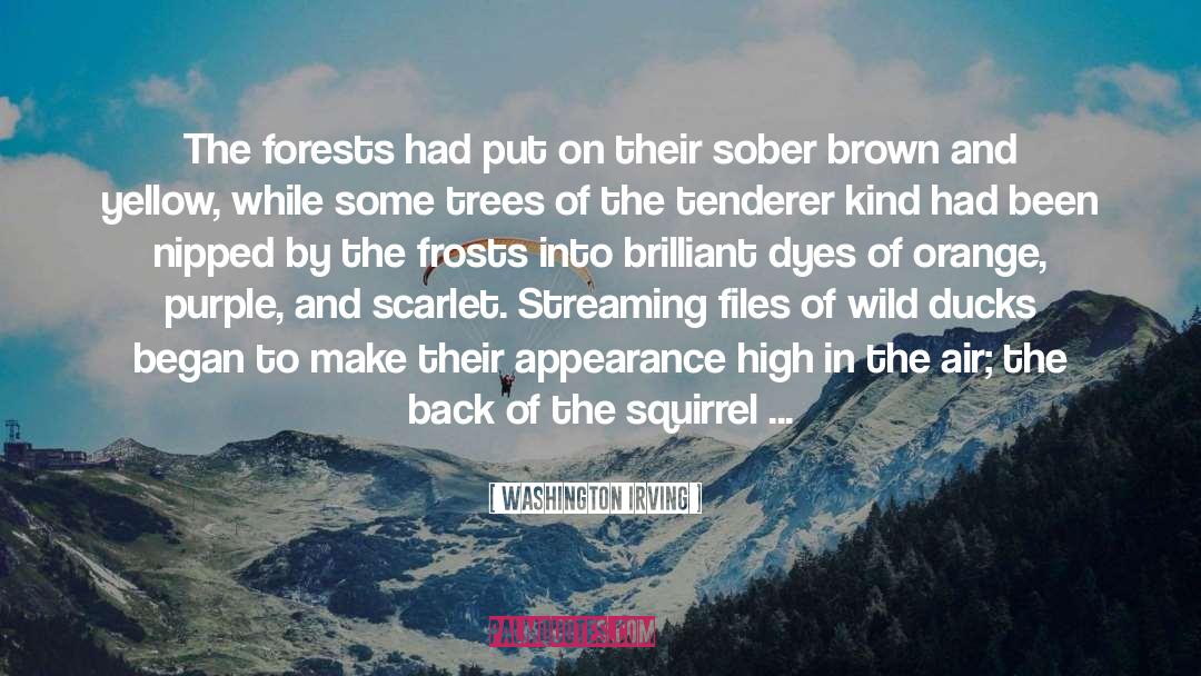 Washington Irving Quotes: The forests had put on
