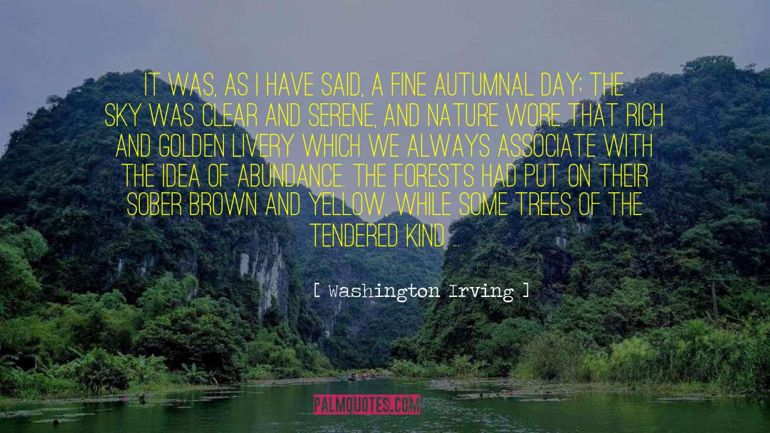 Washington Irving Quotes: It was, as I have