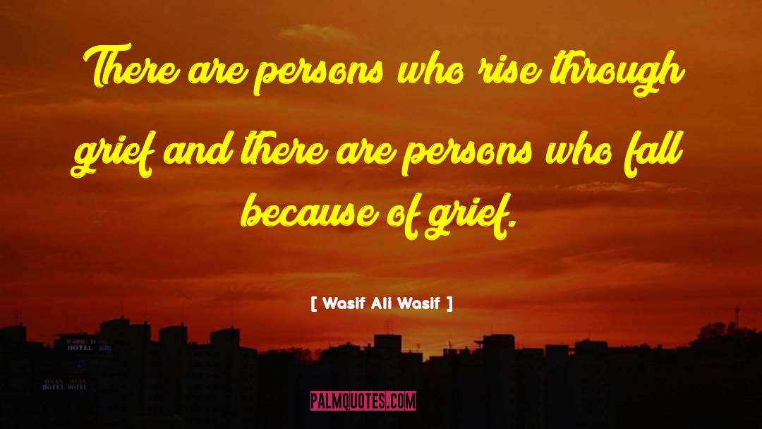 Wasif Ali Wasif Quotes: There are persons who rise