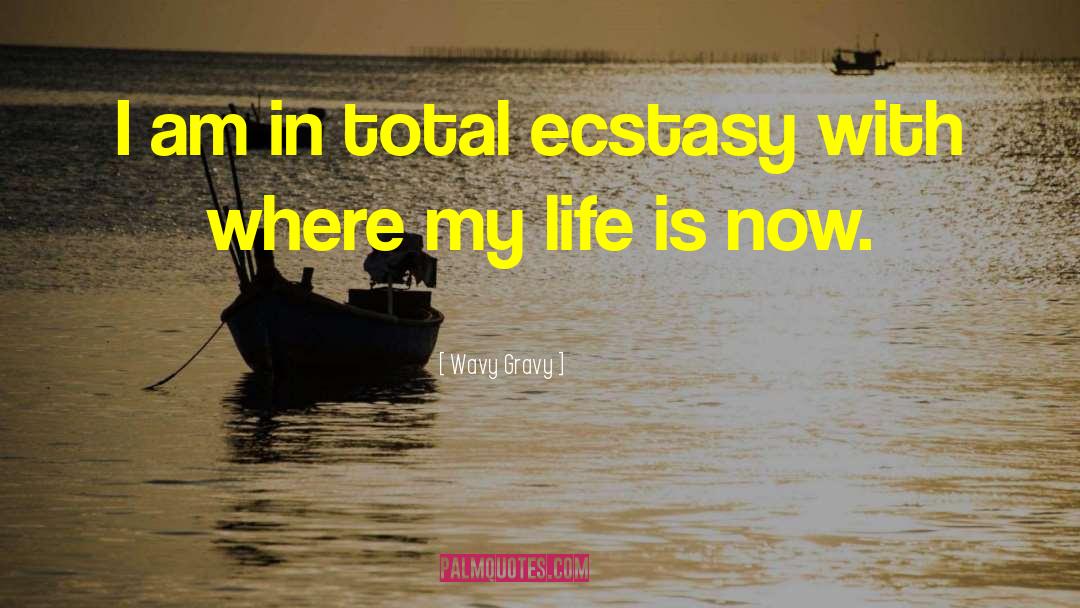 Wavy Gravy Quotes: I am in total ecstasy