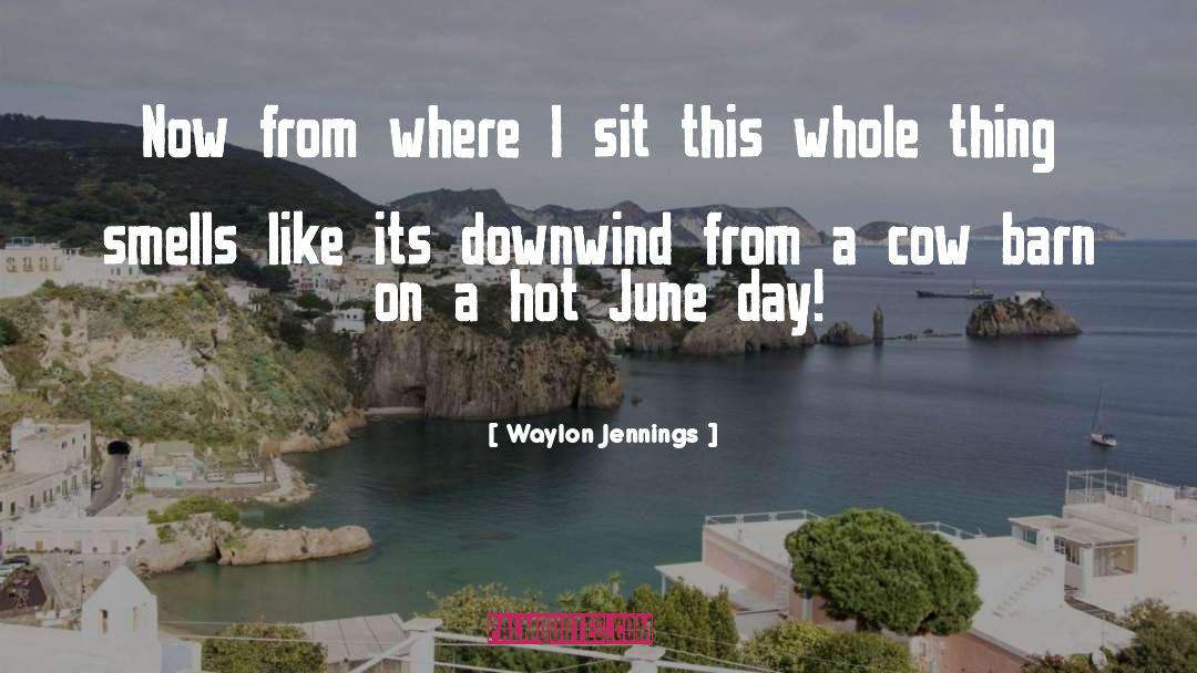 Waylon Jennings Quotes: Now from where I sit