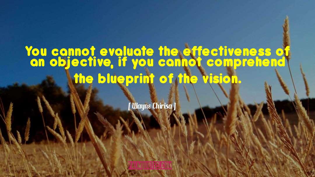 Wayne Chirisa Quotes: You cannot evaluate the effectiveness