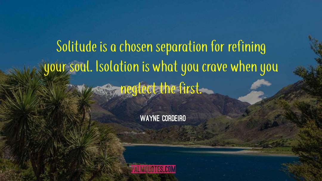 Wayne Cordeiro Quotes: Solitude is a chosen separation