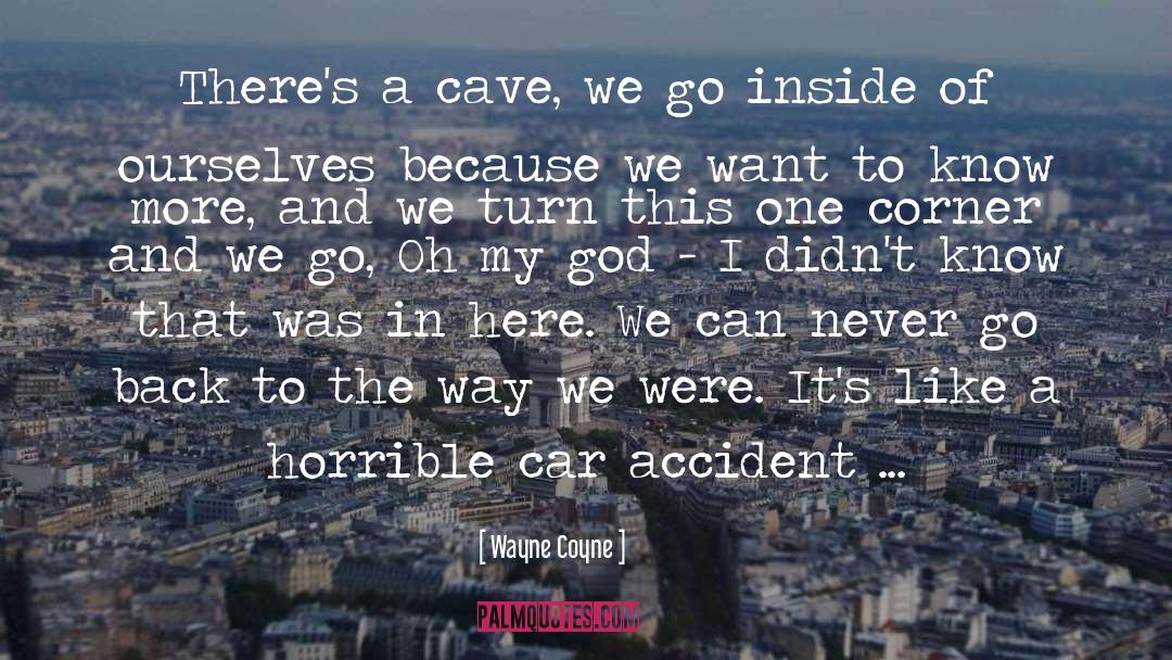 Wayne Coyne Quotes: There's a cave, we go