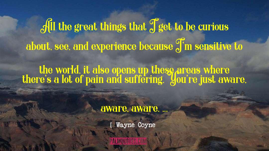 Wayne Coyne Quotes: All the great things that