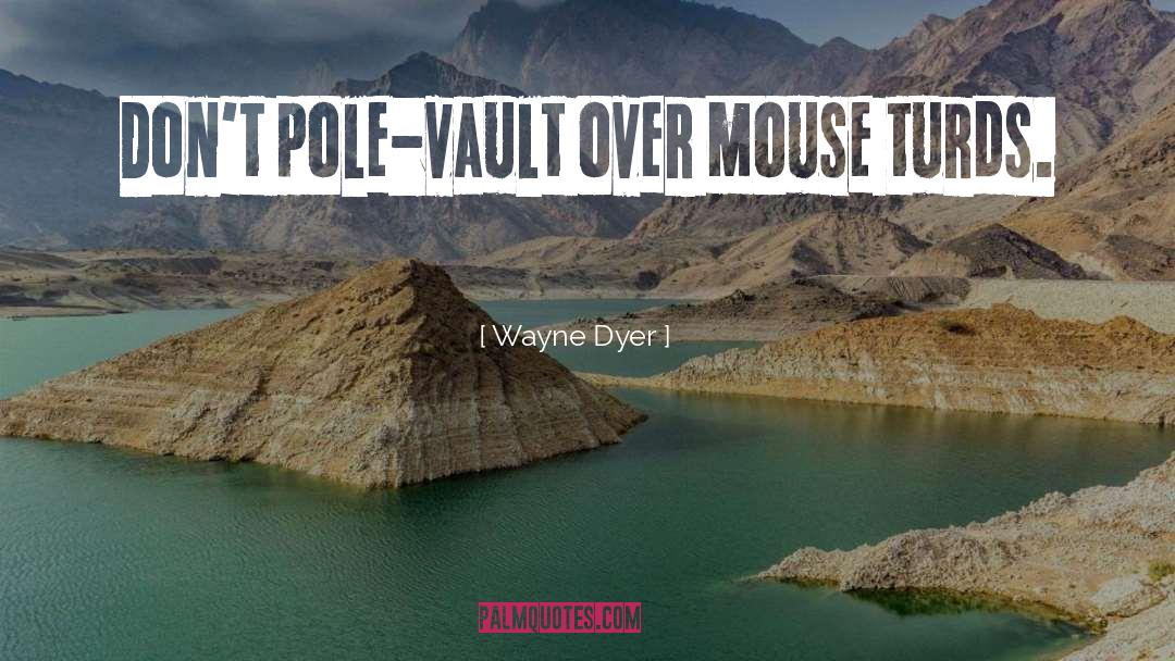 Wayne Dyer Quotes: Don't pole-vault over mouse turds.