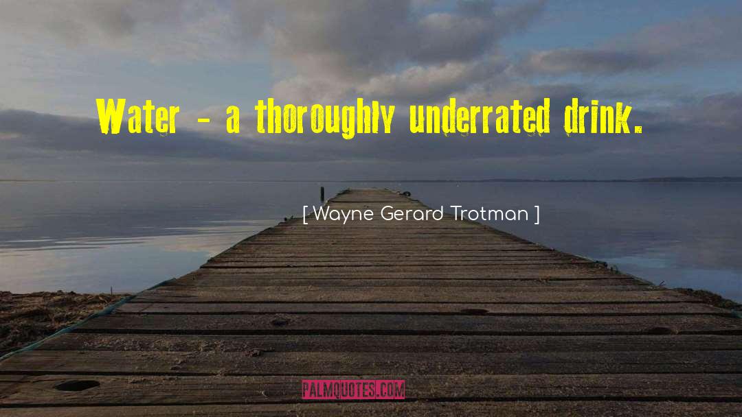 Wayne Gerard Trotman Quotes: Water - a thoroughly underrated