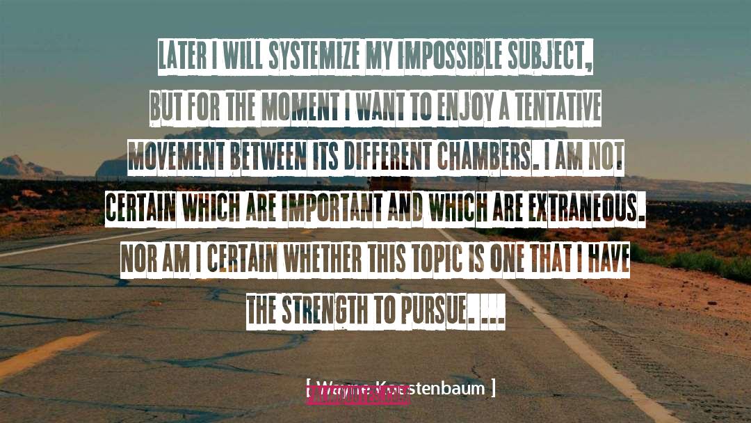 Wayne Koestenbaum Quotes: Later I will systemize my