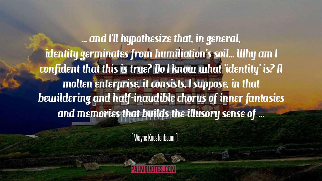 Wayne Koestenbaum Quotes: ... and I'll hypothesize that,