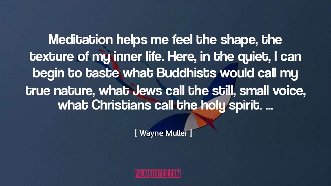 Wayne Muller Quotes: Meditation helps me feel the