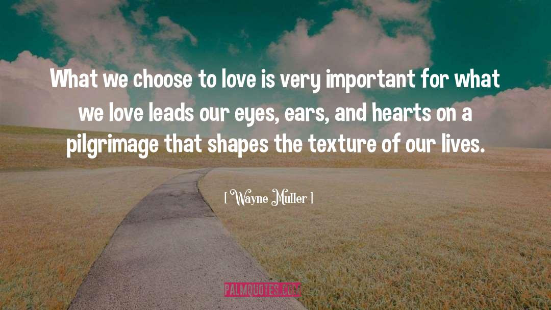 Wayne Muller Quotes: What we choose to love