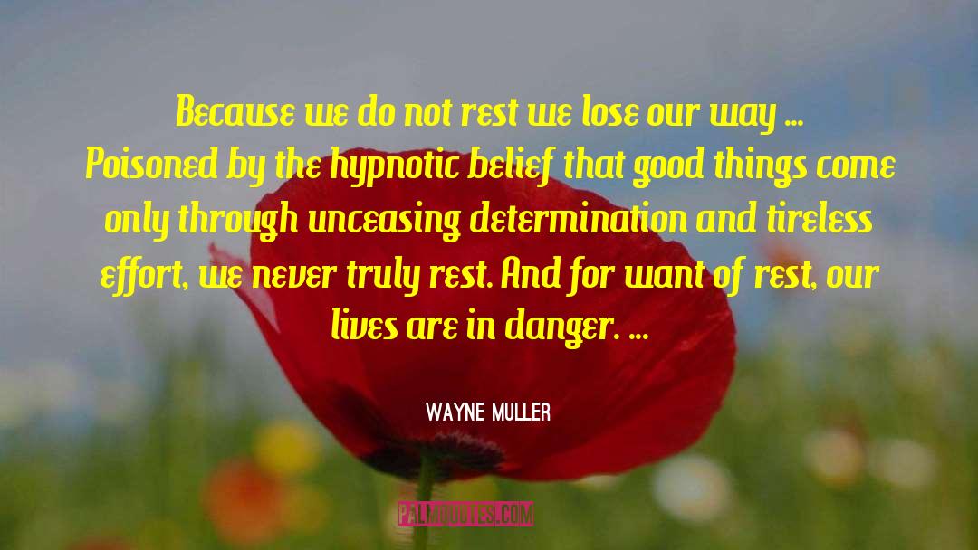 Wayne Muller Quotes: Because we do not rest