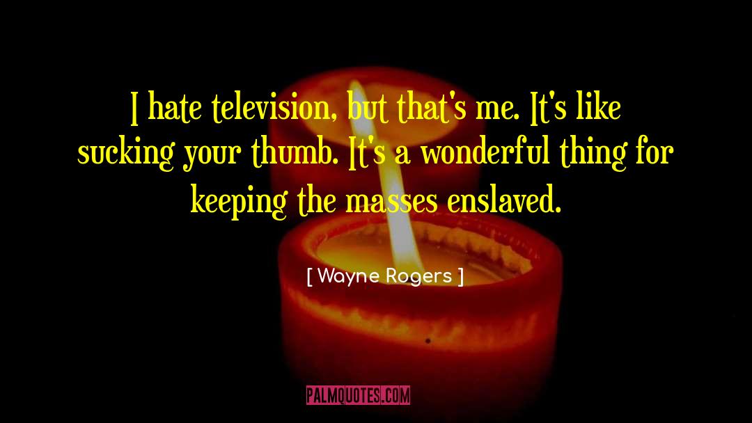 Wayne Rogers Quotes: I hate television, but that's