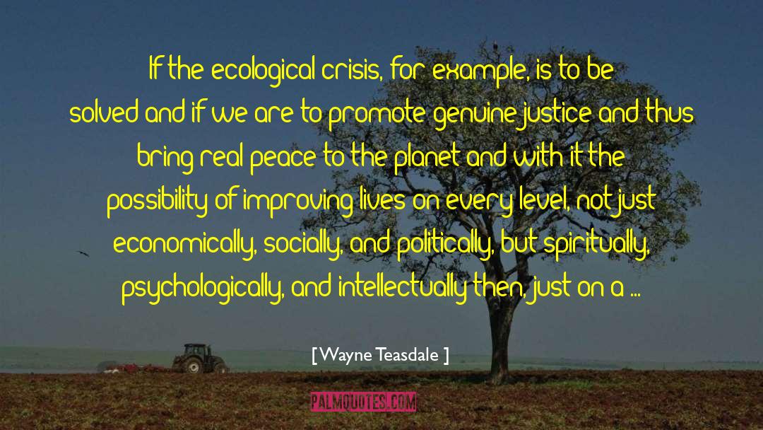 Wayne Teasdale Quotes: If the ecological crisis, for