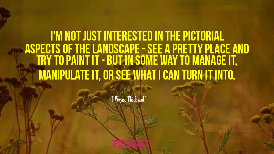 Wayne Thiebaud Quotes: I'm not just interested in