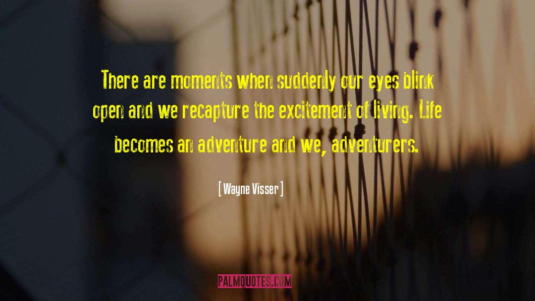 Wayne Visser Quotes: There are moments when suddenly