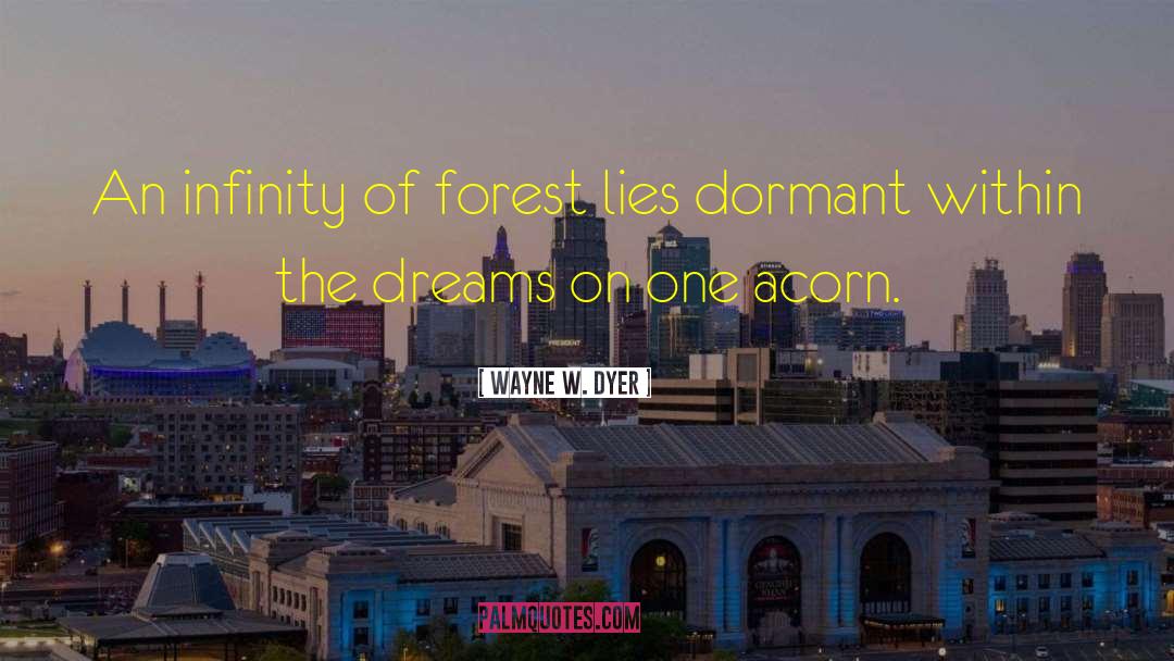 Wayne W. Dyer Quotes: An infinity of forest lies