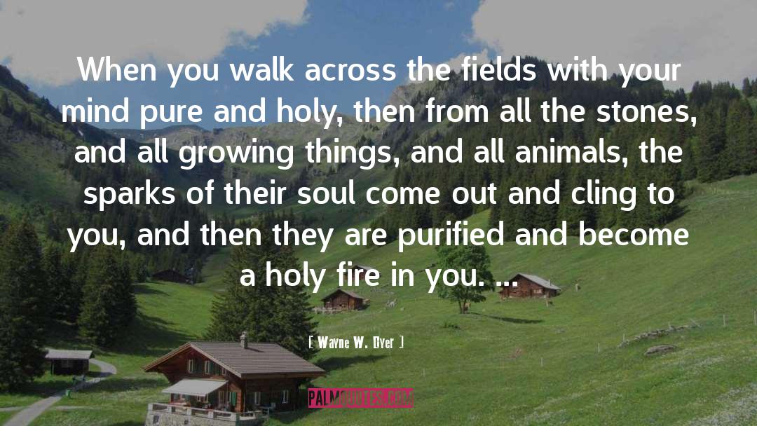 Wayne W. Dyer Quotes: When you walk across the