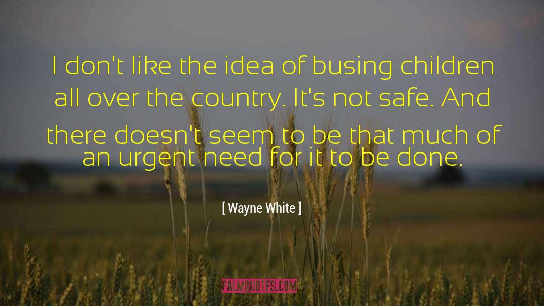 Wayne White Quotes: I don't like the idea