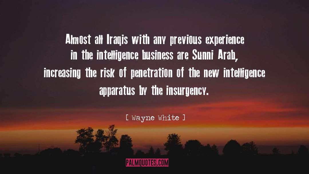 Wayne White Quotes: Almost all Iraqis with any