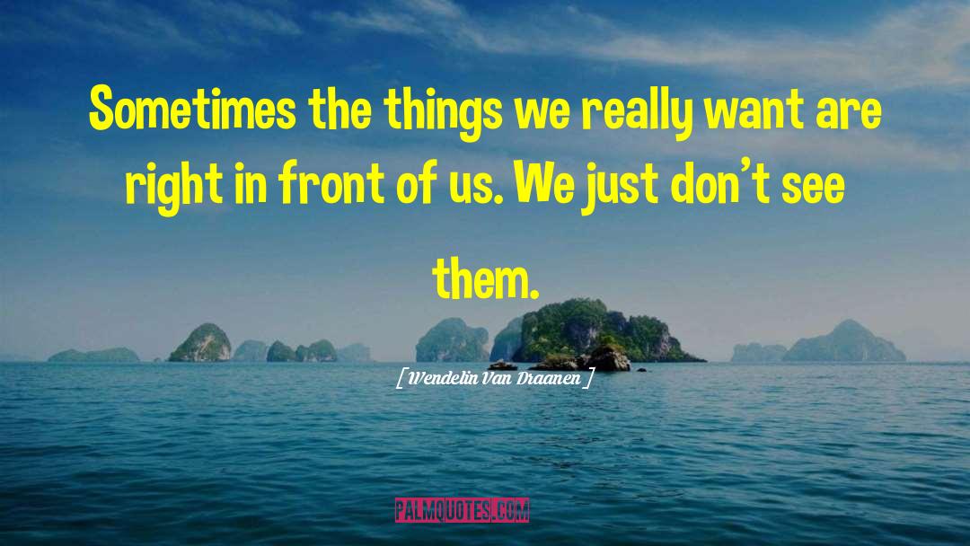 Wendelin Van Draanen Quotes: Sometimes the things we really