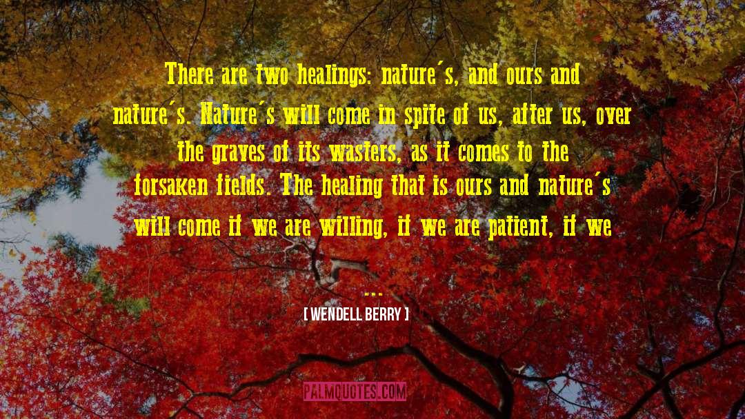 Wendell Berry Quotes: There are two healings: nature's,