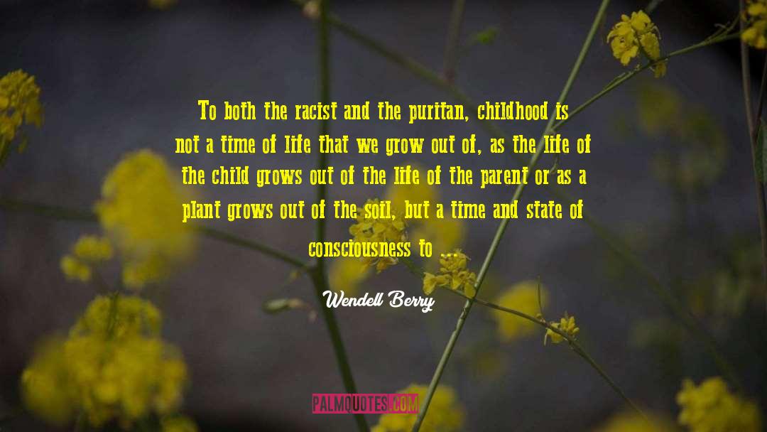 Wendell Berry Quotes: To both the racist and