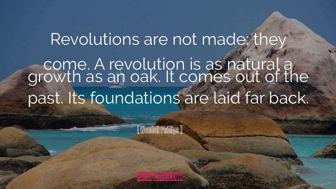 Wendell Phillips Quotes: Revolutions are not made: they