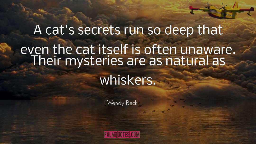 Wendy Beck Quotes: A cat's secrets run so