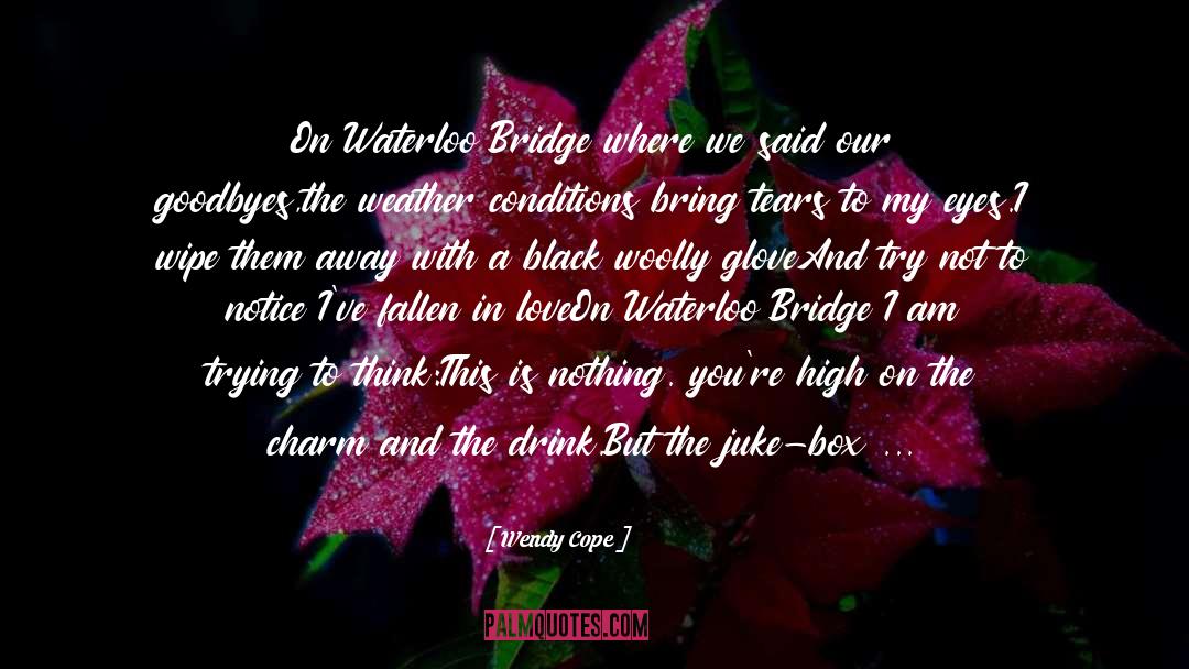 Wendy Cope Quotes: On Waterloo Bridge where we