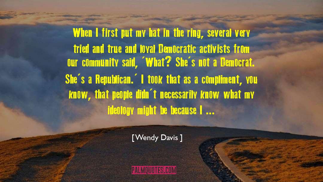 Wendy Davis Quotes: When I first put my