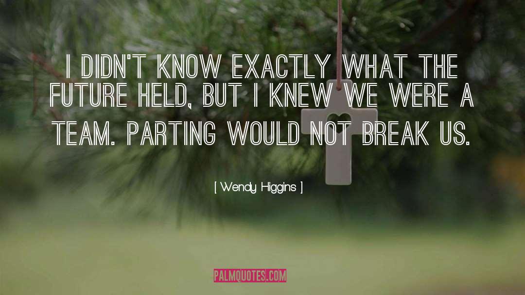 Wendy Higgins Quotes: I didn't know exactly what