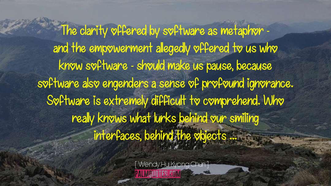 Wendy Hui Kyong Chun Quotes: The clarity offered by software