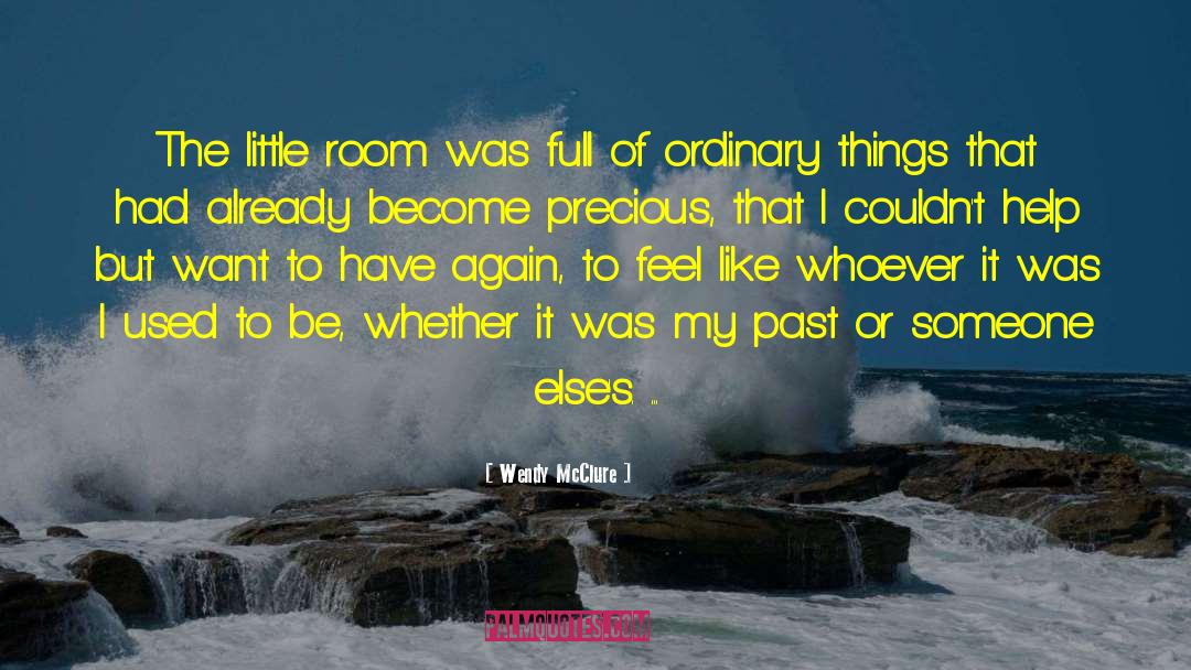 Wendy McClure Quotes: The little room was full