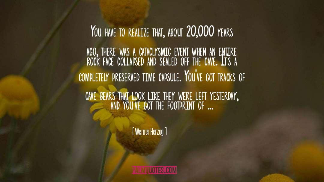 Werner Herzog Quotes: You have to realize that,