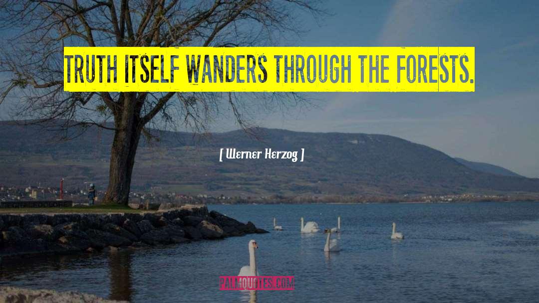 Werner Herzog Quotes: Truth itself wanders through the