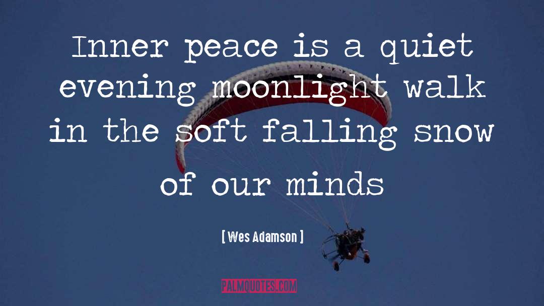 Wes Adamson Quotes: Inner peace is a quiet
