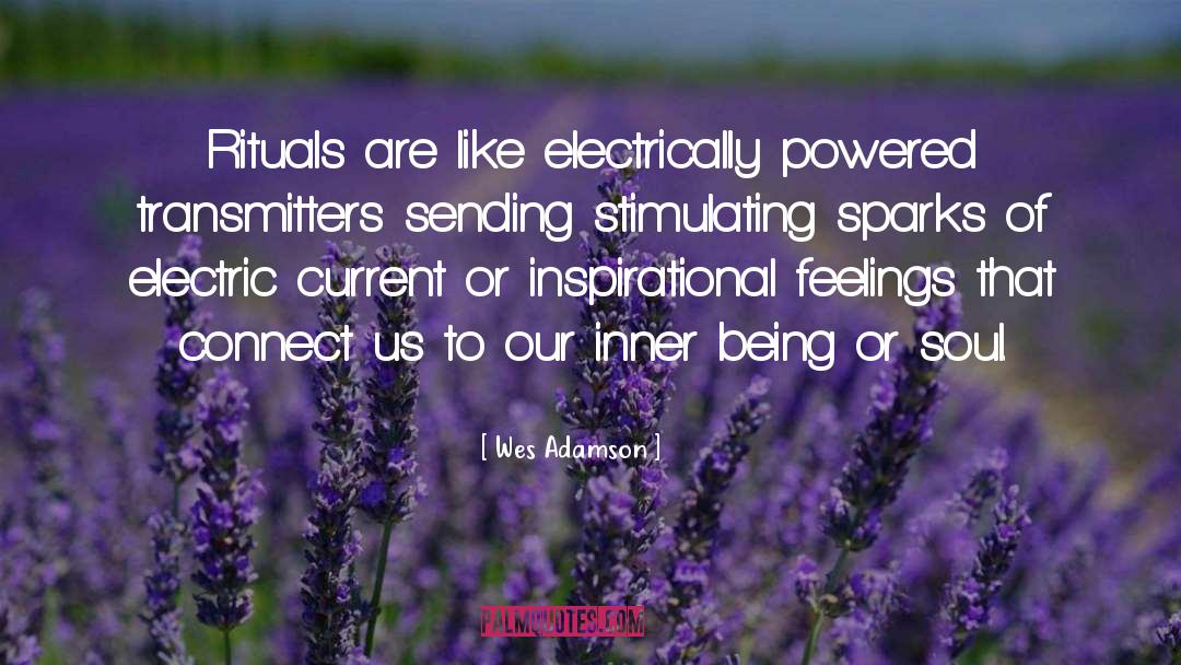 Wes Adamson Quotes: Rituals are like electrically powered