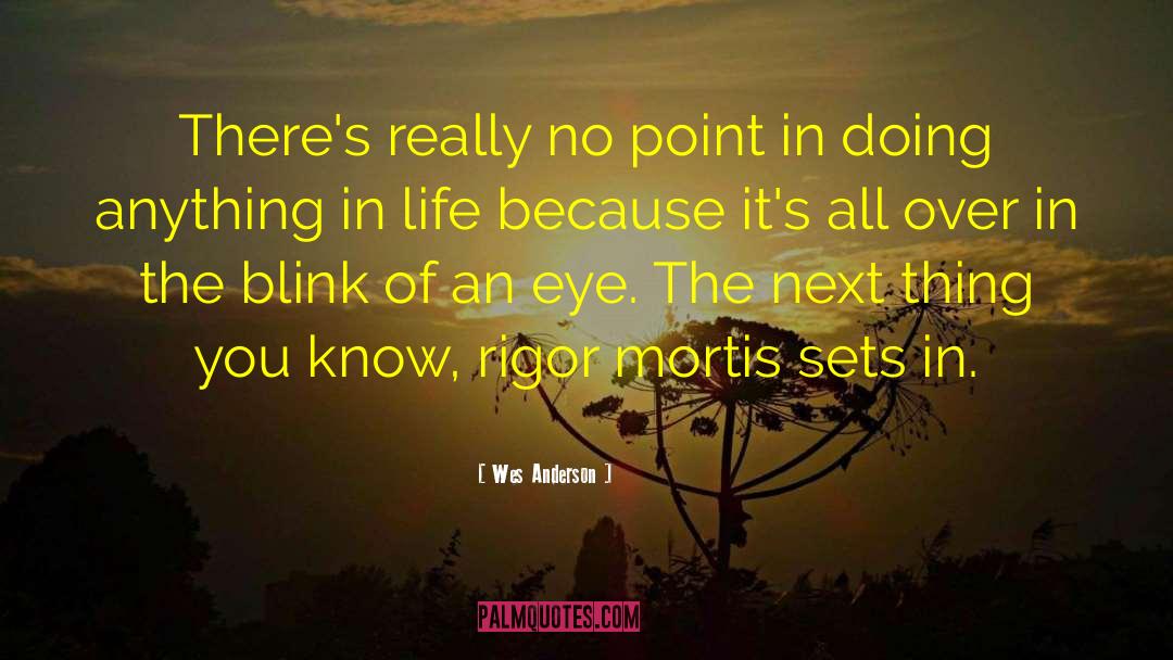 Wes Anderson Quotes: There's really no point in