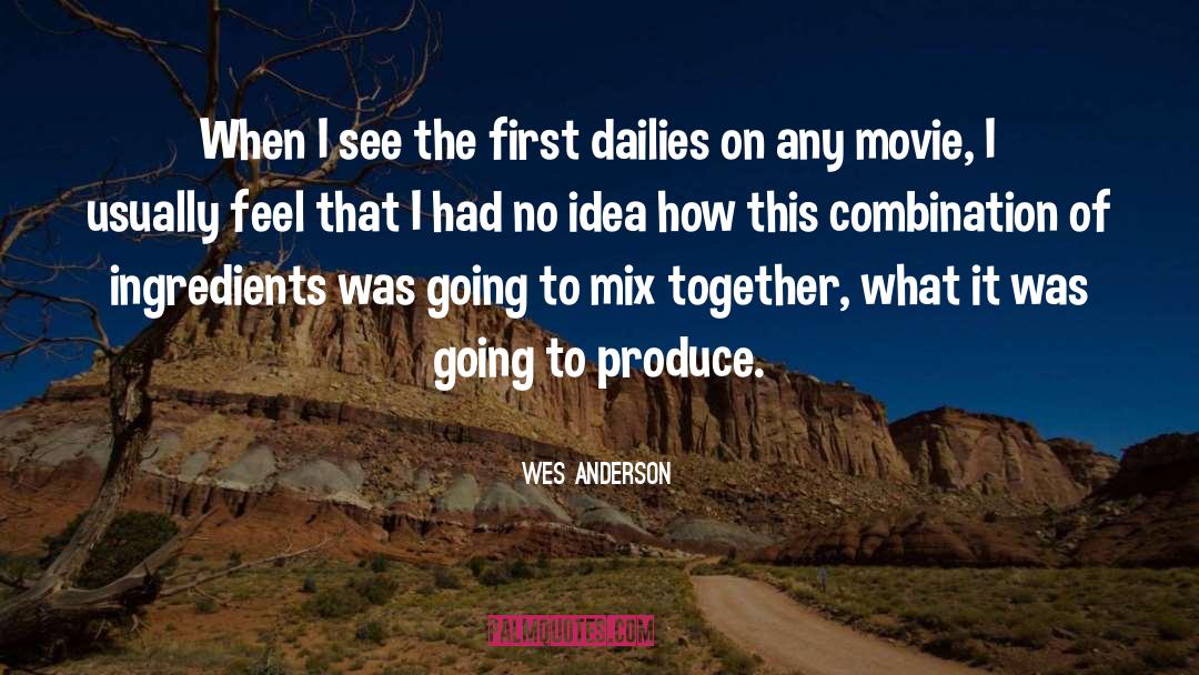 Wes Anderson Quotes: When I see the first